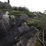 John Forrest National Park