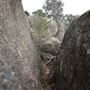 John Forrest National Park