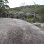 John Forrest National Park