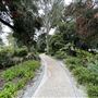 Supreme Court Gardens