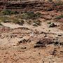 Kalbarri - Eagle Gorge