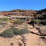 Kalbarri - Eagle Gorge