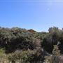 Geraldton - Back Beach