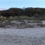 Denmark - Ocean Beach
