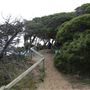 Gracetown