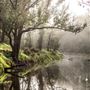 Nannup