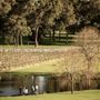 Sandalford Vineyards