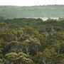 Pemberton - Warren National Park