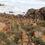 Yallingup - Torpedo Rock
