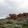 Yallingup - Torpedo Rock