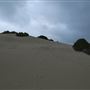 Sandy Cape