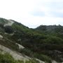 Sandy Cape