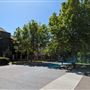 East Perth- Suburban Streets