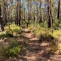 Bickley Outdoor Recreation Camp