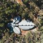 Dwellingup State Forest