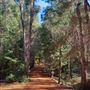 Dwellingup