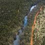 Dwellingup State Forest