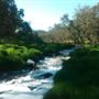 Bridgetown