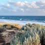 Preston Beach