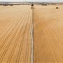 Wheatbelt Region