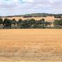 Northam