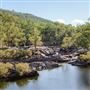 Dwellingup State Forest