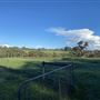 Shambala Forest Retreat