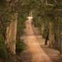 Denmark/Albany Forest Roads