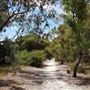 Lightning Swamp Bushland