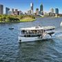 Paddle Steamer Decoy