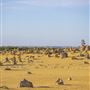 Pinnacles - Nambung National Park