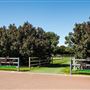 Gold Front Breeding & Racing