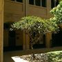 Nazareth House