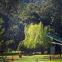 Lewana Cottages