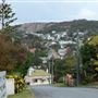 Albany Suburbia