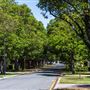 Mount Lawley