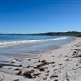Hangover Bay
