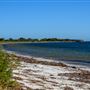 Milligan Island Eco Camping