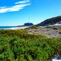 Claytons Beach