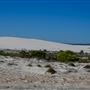 Sandy Cape