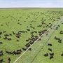 Pardoo Wagyu Station