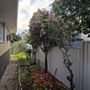 547 Morley Drive