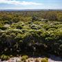 Whiteman Park