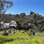 975 Viveash Road