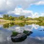 Booyeembarra Park