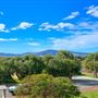 Albany Suburbia