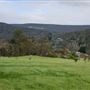 Roleystone