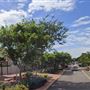 Broome - Town