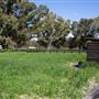 Alwyn Park Stud
