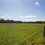 Alwyn Park Stud